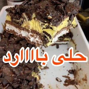 حلى ايس كريم ساندويش