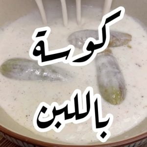كوسة باللبن