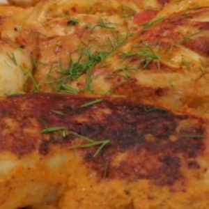 دجاج مبهر محمر