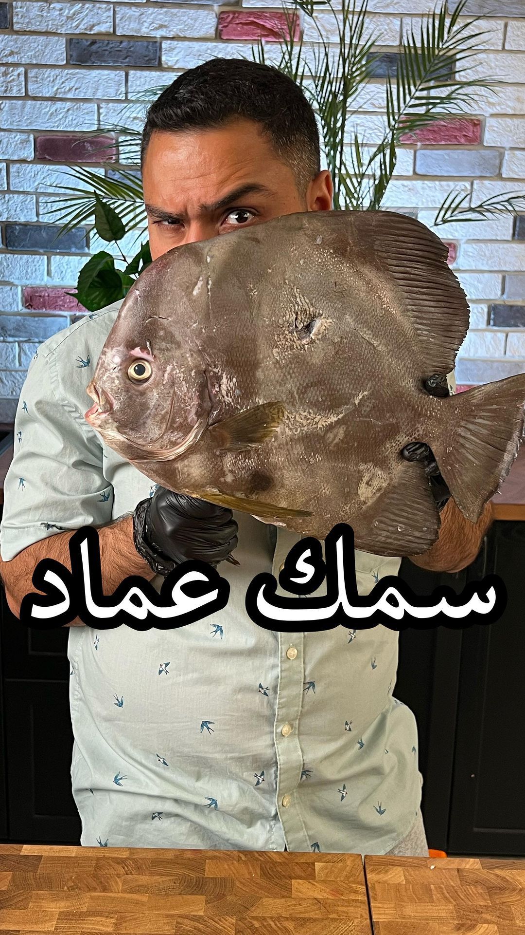 سمك عماد 8 منشن صاحبك اسمه عماد !! وجربتو هل نوع من السمك من قبل ؟ وشنو تسمونه في دولتكم ؟
