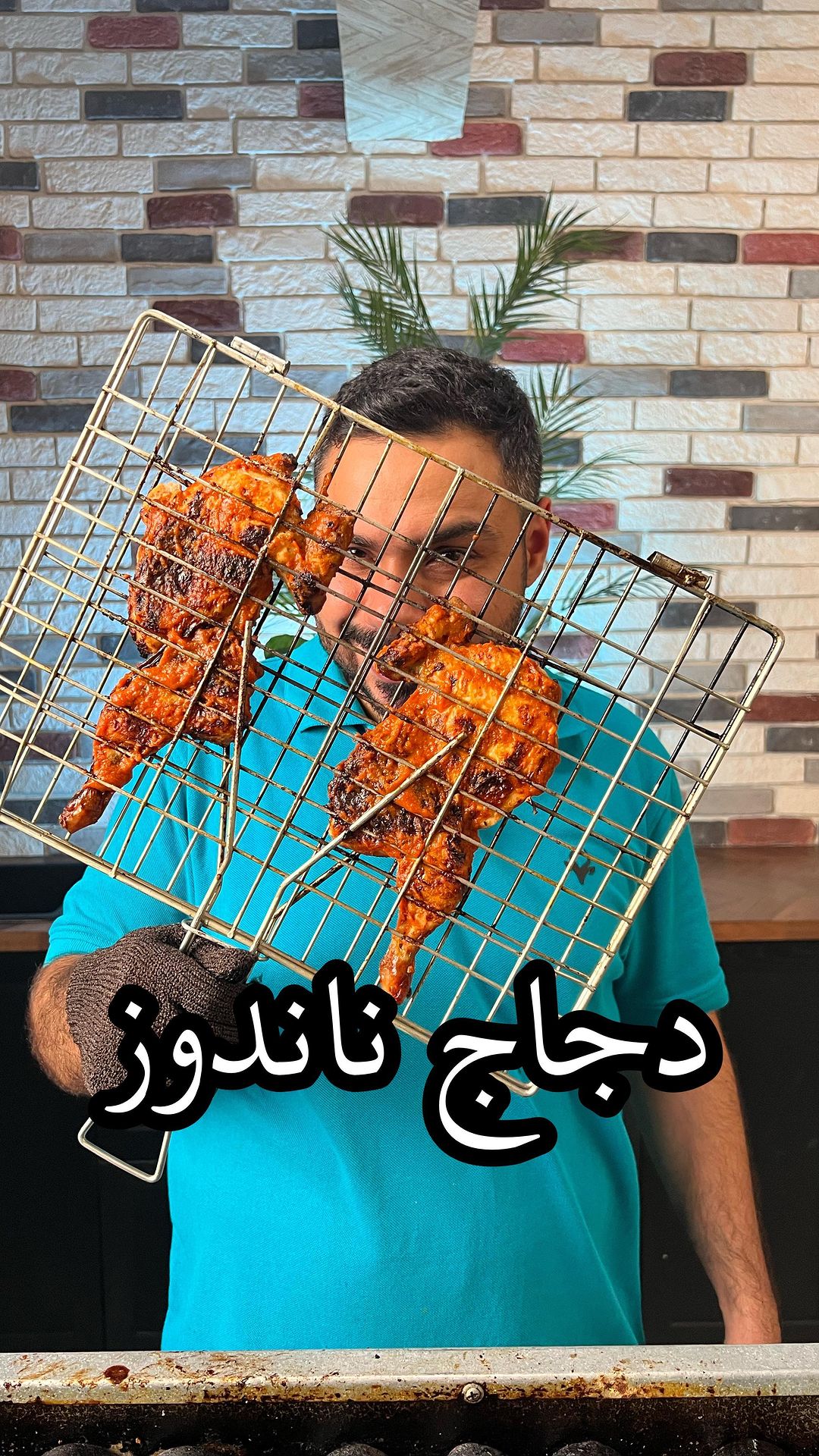 منشن محبين دجاج الناندوز  ،، احفظ الفيديو الشتاء و موسم التخييم والكشتات على الا