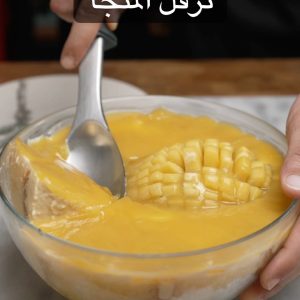 ترفل المنجا في ٣٠ ثانية