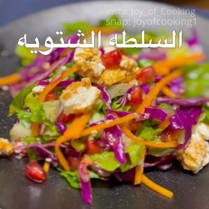 السلطه الشتويه