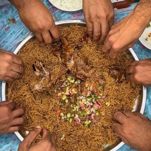 كبسة الطيور