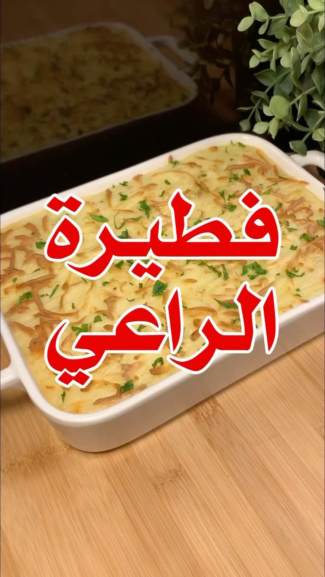 1682097964 328704638 560499862817473 4056599969519331155 n
