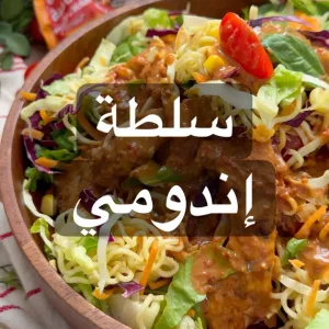 سلطة الاندومي