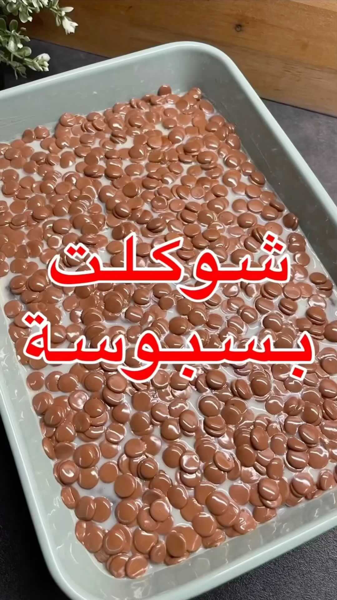 1705252634 417761940 1393443971277196 7396988856793008992 n