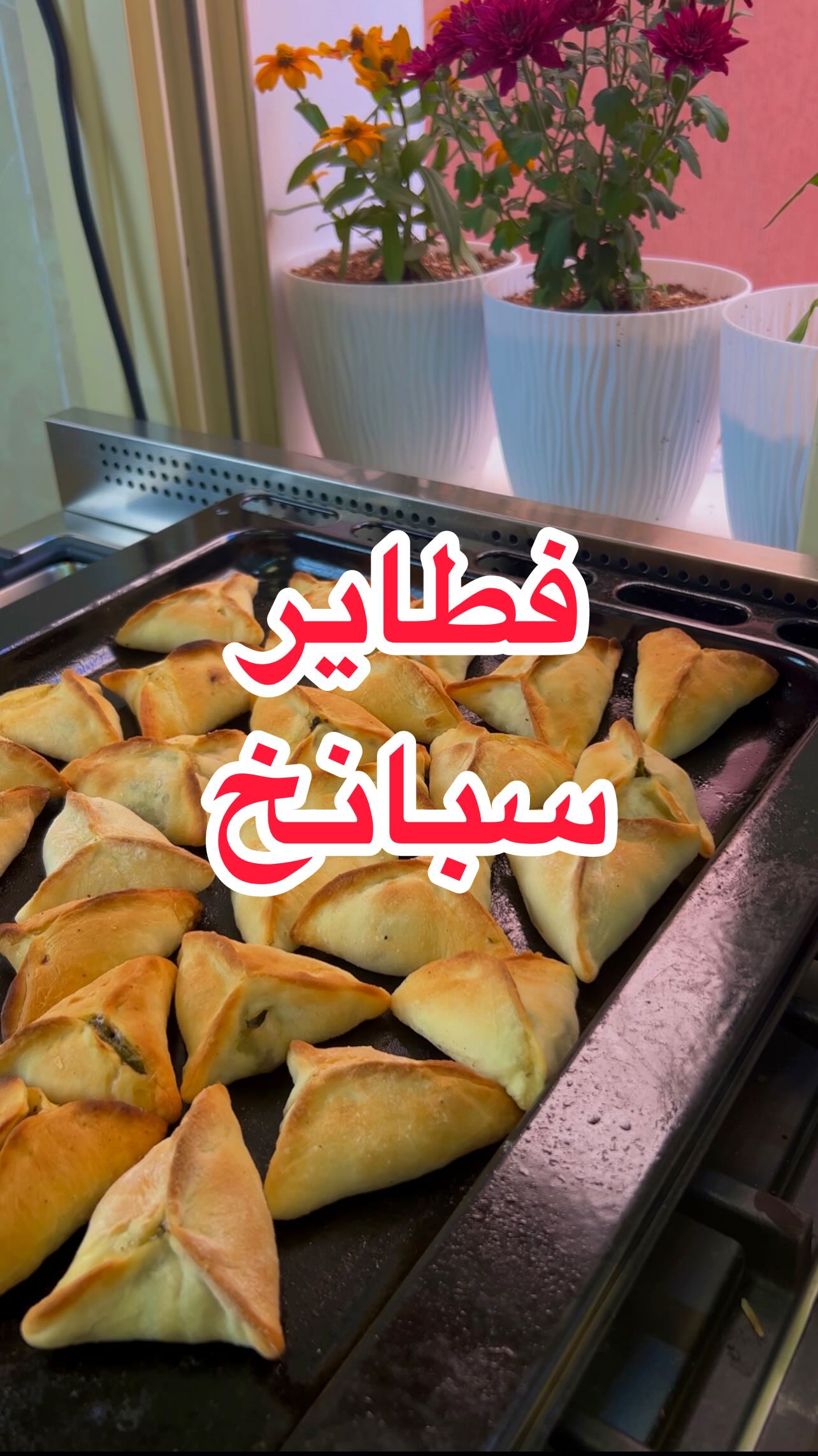 عجينة فطاير السبانخ - وصفة سهلة ولذيذة
