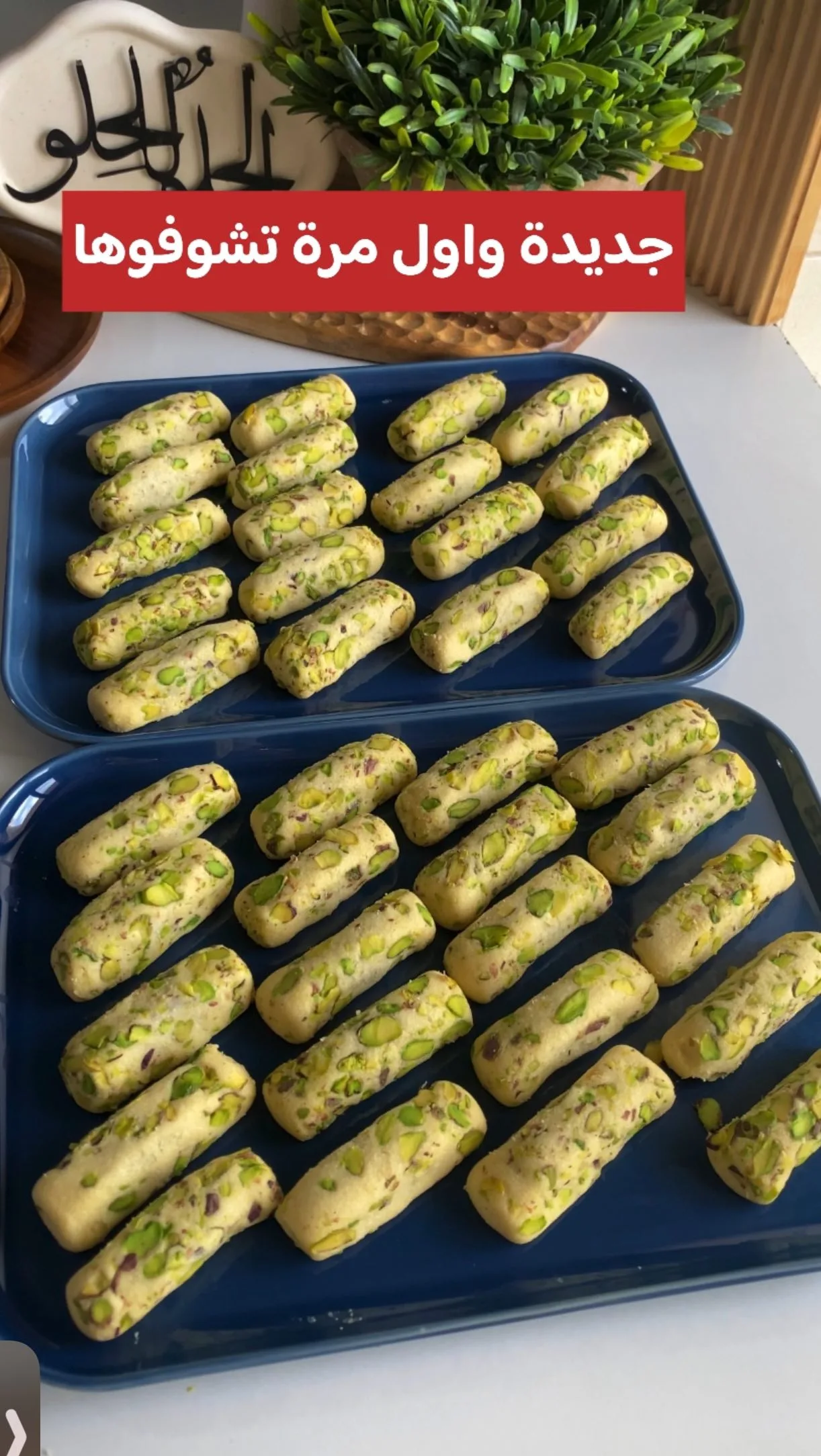غريبة بالتمر