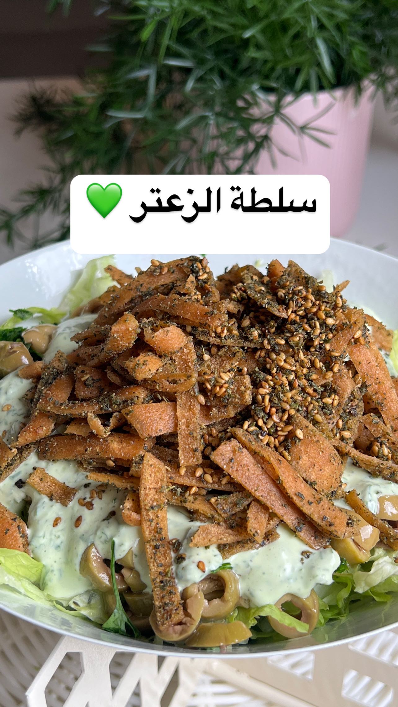 سلطة الزعتر 1 483320298 18495523546008675 6556198743436708033 n