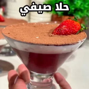 حلى صيفي بارد بطبقات الشوكولاتة والبسكويت