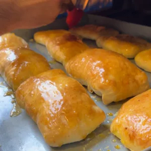 بغاشة العبد المنزلية