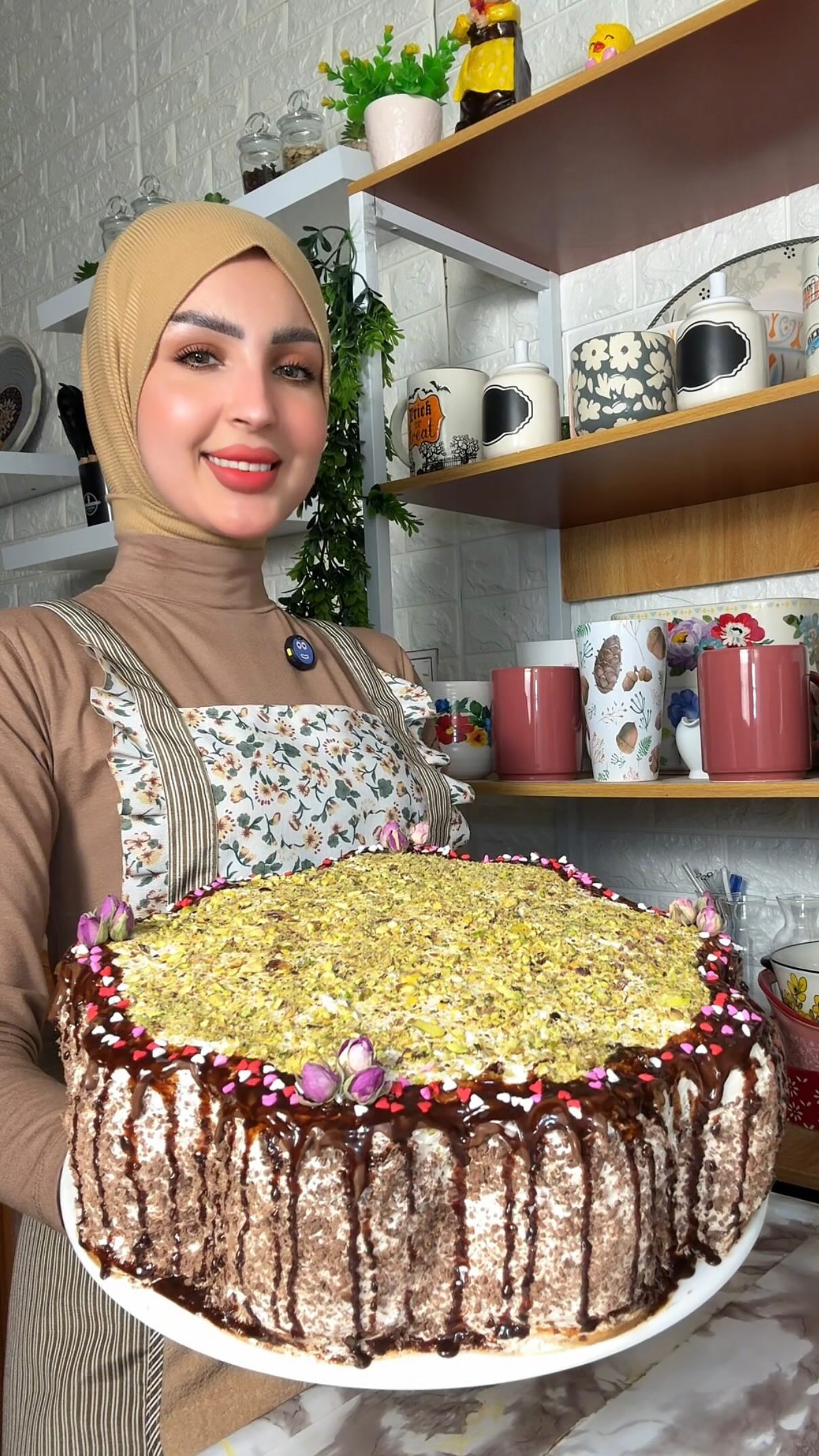 كيكة الأمتحانات الباردة