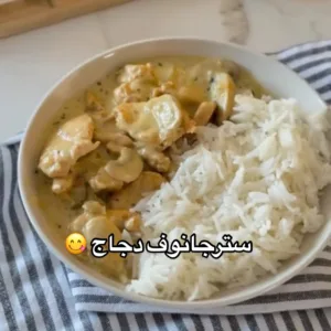 سترجانوف الدجاج