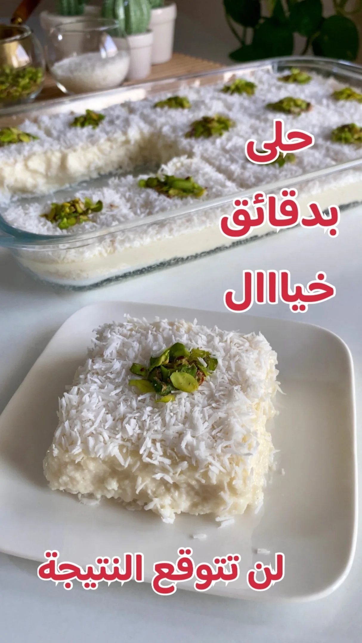 حلى جوز الهند بالسميد 7 حلى جوز الهند بالسميد
